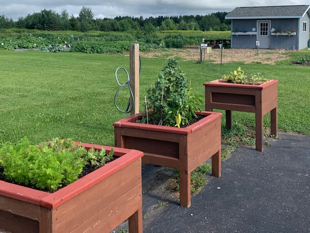 Antigo Community Garden 1