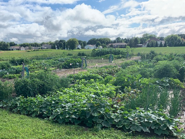 Antigo Community Garden 3