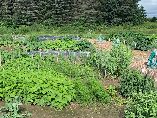 Antigo Community Garden 4