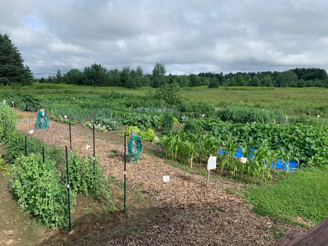 Antigo Community Garden 5